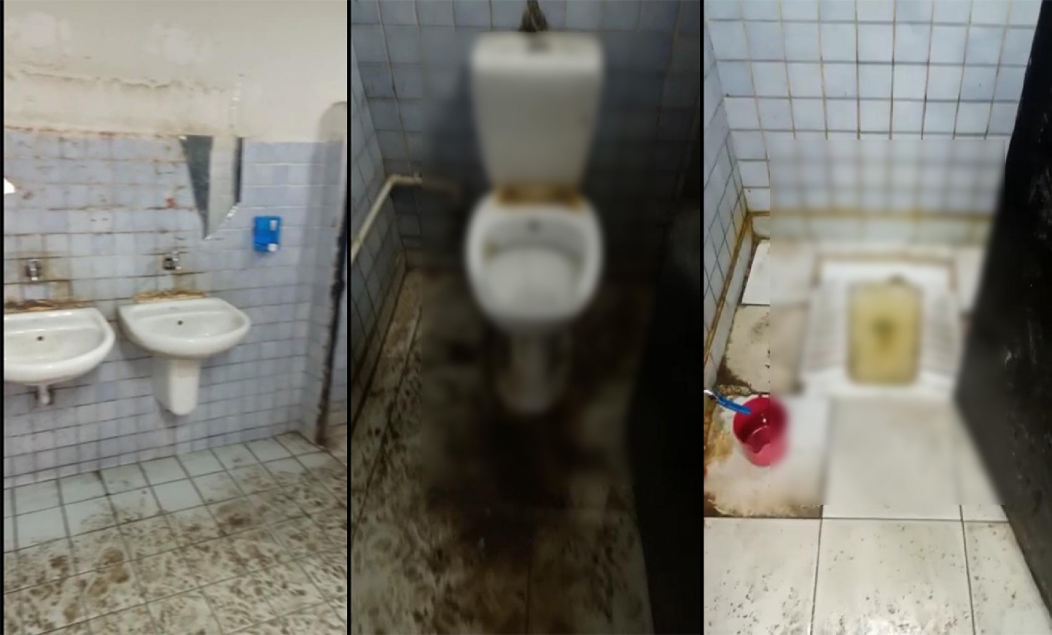 sinema ve televizyon bölümü hakkında