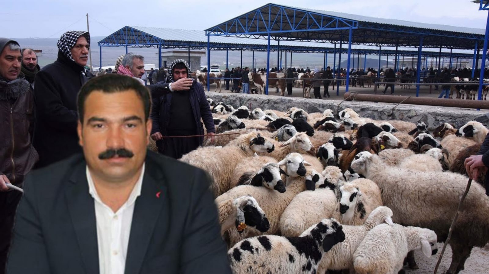 ŞAP hastalığı Urfa'da canlı hayvan pazarını kapattı