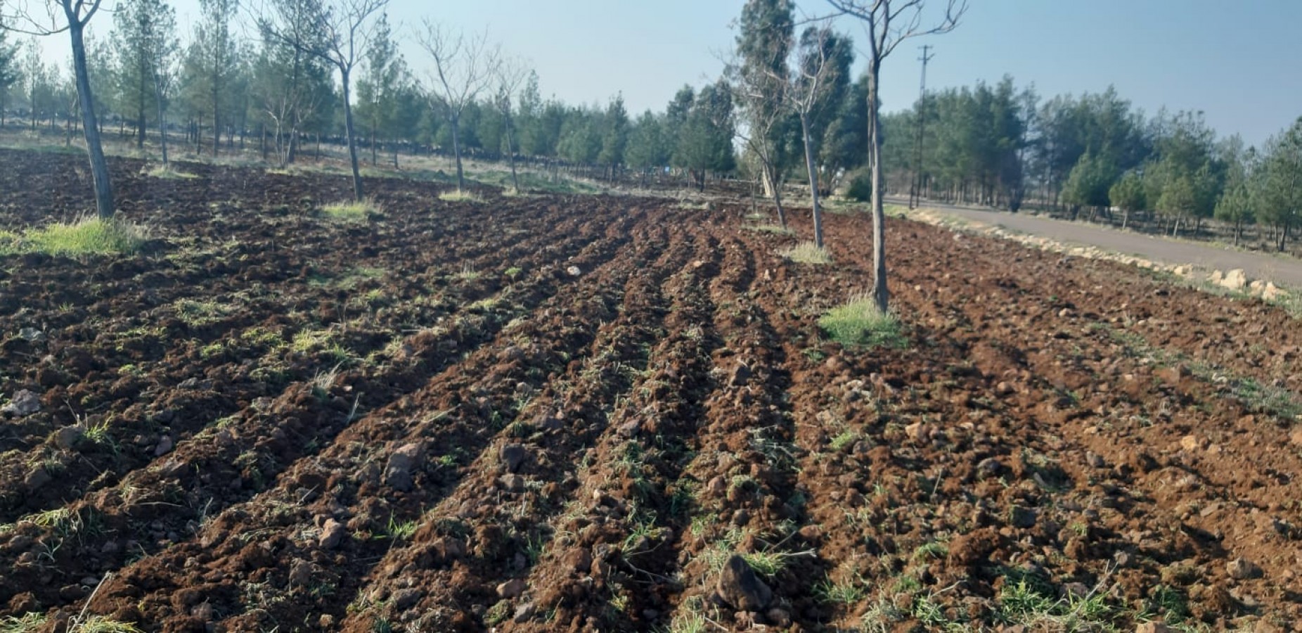 Viranşehir'de mesire alanları sezona hazırlanıyor